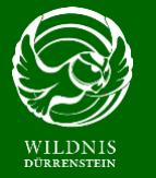 on the scene There is of course the Wilderness Area Dürrenstein, with its research and