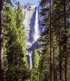 Nastavak putovanja prema San Franciscu kroz Yosemite Nacionalni park uz zaustavljanje radi osvježenja i odmora. Nacionalni park Yosemite, osnovan 1890.