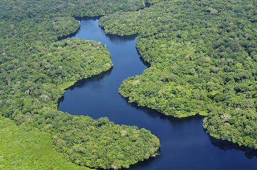 Climates of Latin America Rain Forest: Only covers 7 % of the earth s surface, yet nearly one half of the world s species of plants and animals are found there.