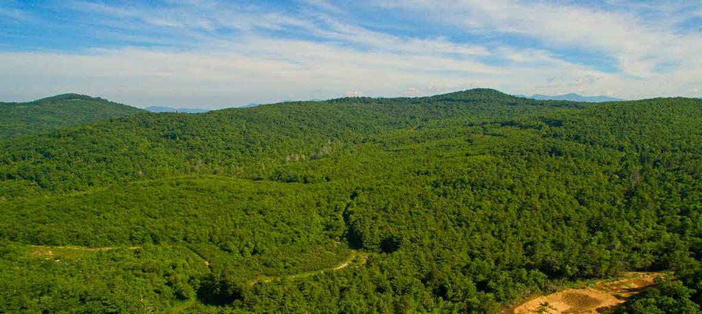 ProPerty as a UniqUe opportunity Majestic Highlands is comprised of approximately 795 acres of exceptional, high elevation, mountain-top land situated high atop the Swannanoa Mountain Range located