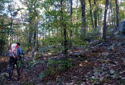 The trail follows a former trapping route through long stretches of isolated wilderness in the Uwharrie Mountains, which are the oldest mountains in North America.