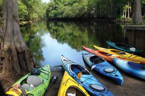 Your next Lumber River State Park excursion could entail paddling, fishing, or 2819 Princess just taking in the scenery.