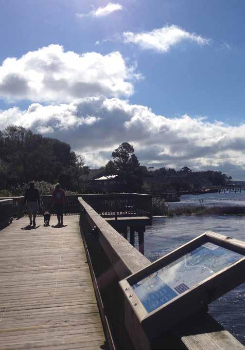 Photo Credit: Town of Duck COASTAL PLAIN REGION COASTAL PLAIN REGION 15 Duck & Boardwalk This picturesque and popular trail in the oceanside town of Duck, nestled on a 7.