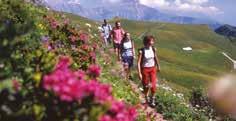 Where next? If you enjoyed your holiday in Selva, we recommend our holiday at Weidach, on Austrian s Seefeld Plateau, which is carpeted in colourful flowers.