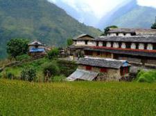 As with the Ghandruk trek, trekkers begin their trip at Pokhara s Nayapul, walk along the banks of the Modi River and get to Biret hanti a large village with many shops and teahouses.