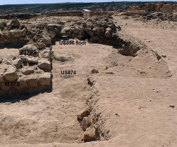 The first layer excavated in A266 is US890. It was found at an elevation of 30.21 m and partially covered the wall M788.