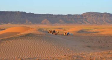 Sunrise as the camels start to
