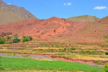 Red hills and green