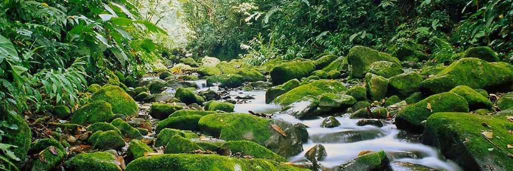 Monteverde Biological Reserve 3 Cost per person from: $90 Cost per child from: 4-12 years $65 Includes: Transportation, guide and entrance fee.