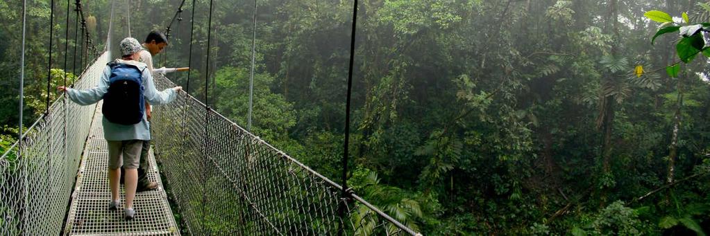 Hanging Bridges 6 Cost per person from: $45 Cost per child from: 9-12 years $35, Minimum age 9 years Includes: Entrance fee.