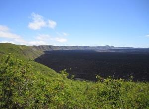ITINERARY - DAY 7: ISABELLA ISLAND After breakfast, hike to the rim of the six mile wide crater