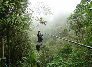 Then, go on a canopy tour and enjoy an adventure with amazing views. Have lunch with your group.