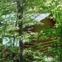 Located on a unique 78 acres with hiking trails Description Mountain Laurel offers a natural wooded  Located on a unique