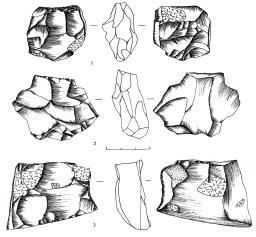 pieðinys) Fig. 9. Late Mesolithic flint cores 10 pav.