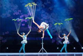 It is comparable to many international Cirque style shows but at a price much lower and an opportunity to sit much closer.