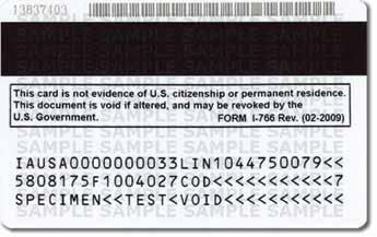 The card contains the bearer s photograph, fingerprint, card number, Alien number, birth date, and signature, along with a