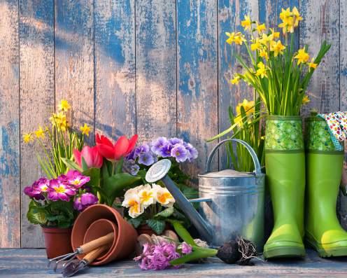 GARDENING BREAK If you want to be Happy for a Lifetime, be a Gardener Enjoy our new and exciting gardening break with great gardening tips, advice, workshops, garden visits and lots more.