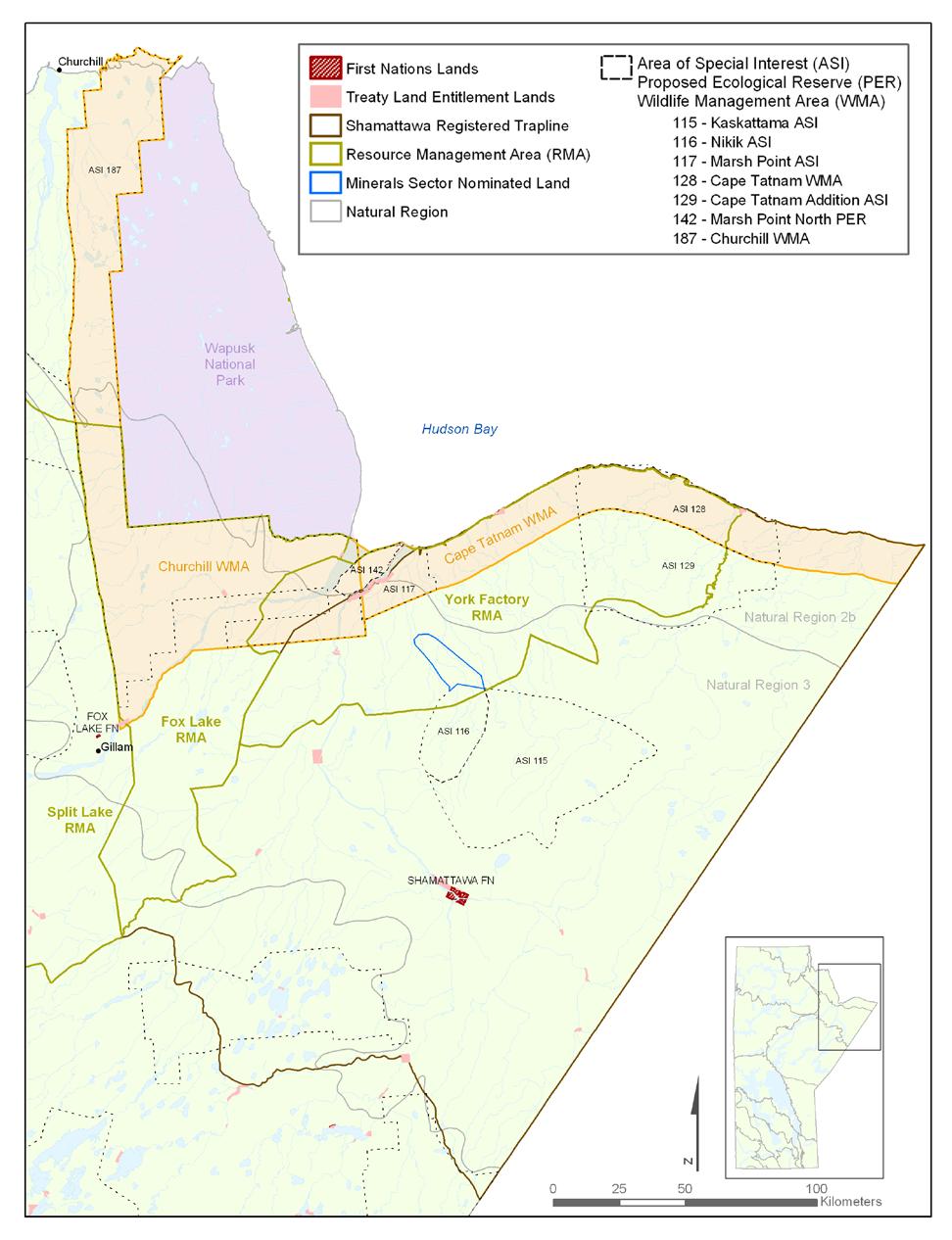 Areas of Special Interest (ASI) The proposed protected areas in the Hudson Bay Lowlands are ASI 115 Kaskattama, ASI 116 Nikik, ASI 117 Marsh Point, ASI 128 Cape Tatnam Wildlife Management Area, ASI