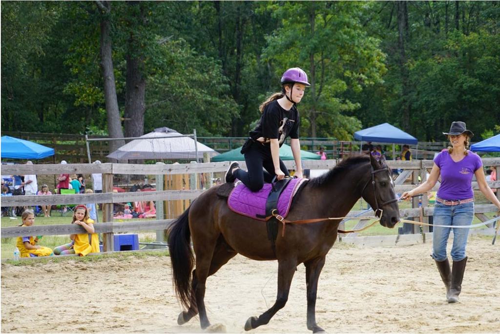 Horsefest 2016 By the numbers, Horsefest welcomed: 249 pony rides/riders 724 adult visitors 153 people volunteers 30 horse volunteers It was a remarkable day, with demonstrations of jumping,