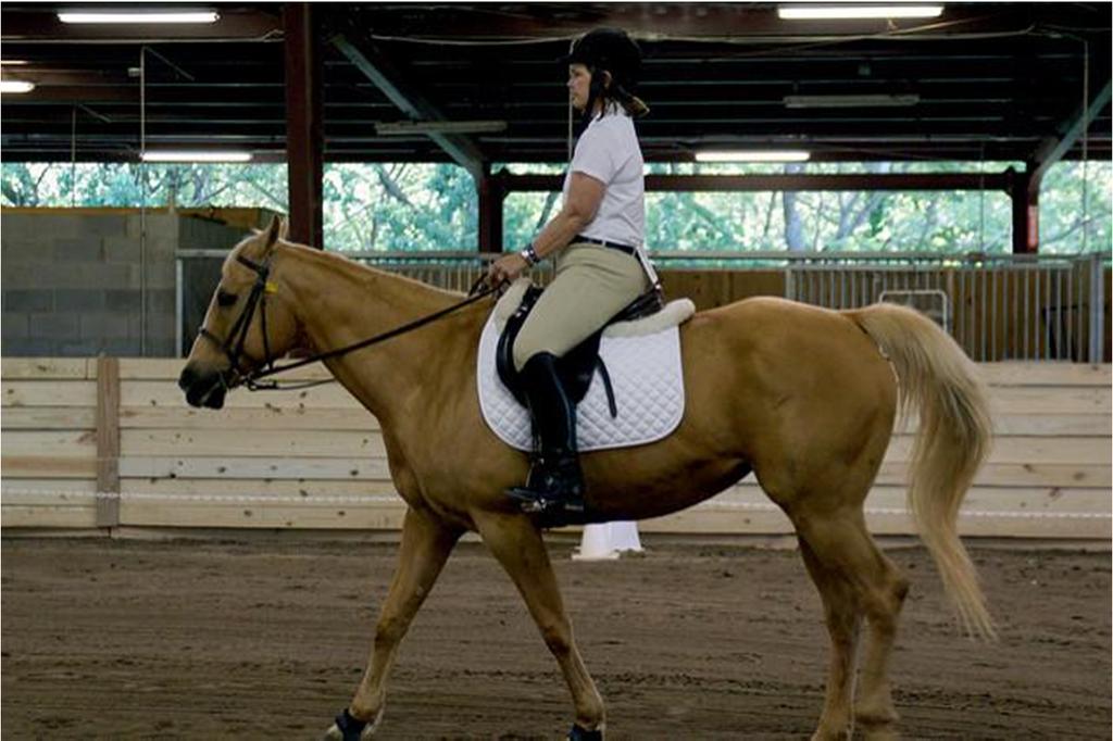 Schooling Shows Riders who are getting ready to show at formal events need training and practice, and that is the purpose of schooling shows.