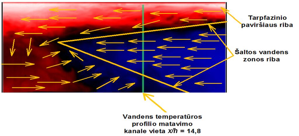 Kondensacijos šilumos nuvedimo nuo tarpfazinio paviršiaus į vandens gilumą tyrimas taikant termografinį metodą 205 Ties x/h = 20,4 šiluma vis dar efektyviai yra nuvedama į vandens gilumą.