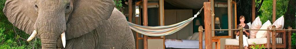 DAY THREE OKAVANGO DELTA The morning and afternoon is a leisure to enjoy the activites on offer.