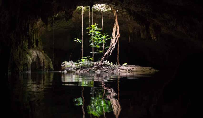 PRIVATE EXPERIENCE CENOTE, COBA & SURROUNDINGS *If you prefer a half day experience this tour has the option of making a late pick up at noon.