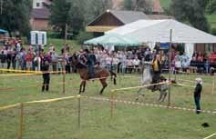Že tradicionalno se zberejo na Krtini konjeniki iz številnih dolenjskih konjeniških središč (prihajajo pa tudi od drugod), ki skušajo preveriti izurjenost svojih konj.