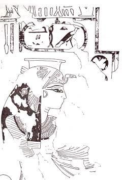 19 th Dynasty Seti I Tanedjemy (QV 33) Tanedjemy Queen / King s Wife Princess / King s Daughter Tanedjemy ( The Sweet One ) is believed to be the wife of Seti I