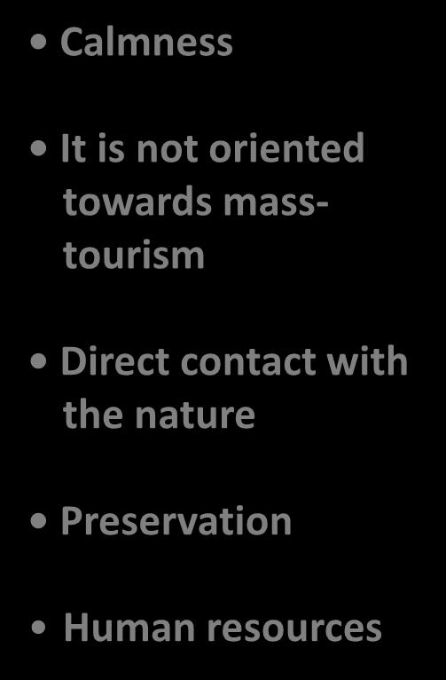 masstourism Direct contact with