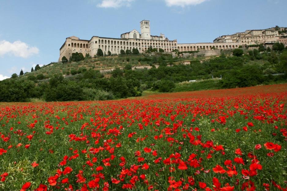 Day 4 Monday MAY 2 nd Travel to ASSISI This morning you will leave Rome towards Assisi. Check out Hotel Rome. Private transfer by car from Rome to Assisi with stopover in Orvieto.