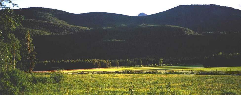 Plate 2: Watson s Ranch (photo by Sandra Vince) There are three forestry companies that operate in the general area of Graham-Laurier Park.