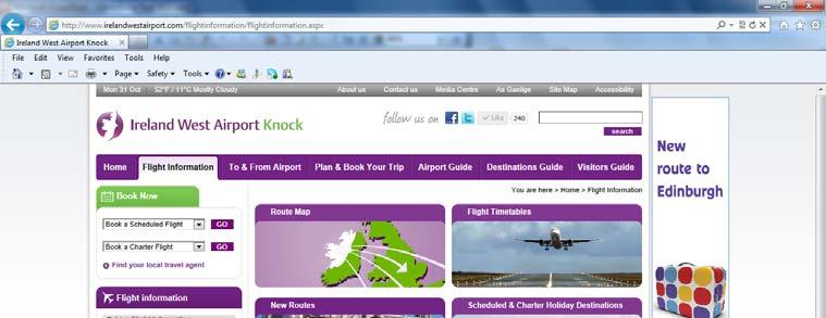 Online Advertising Flight Information 8,500 weekly visitors Pixels see below Banner Banner Type 1