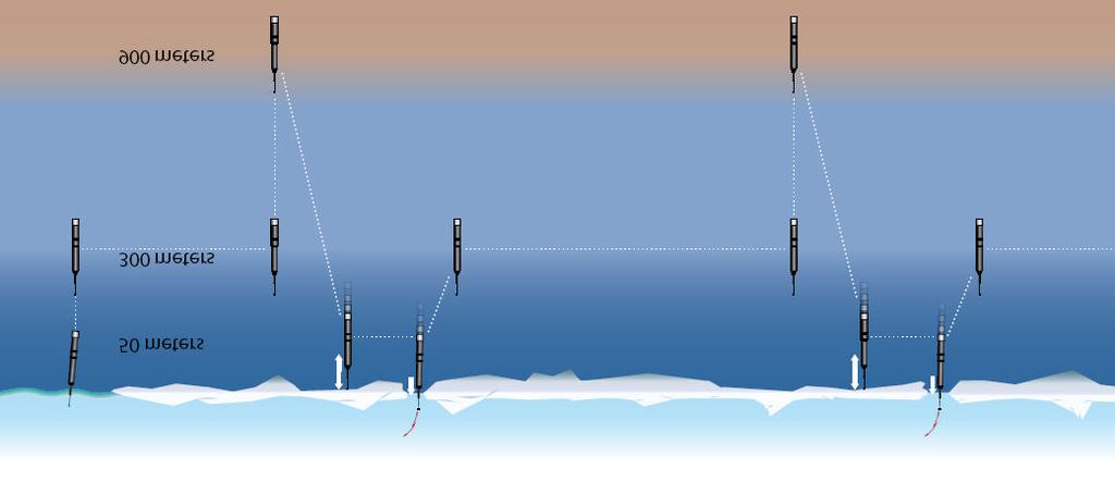 Polar Profiling Floats Repeated search for open water (leads) at surface, repeated search from 50 m.