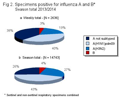 Инфлуенца активност у Европском региону У земљама Европског региона бележи се и даље повећање активности вируса грипа.