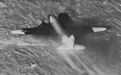 VX-6 lost its last P2V on 17 October 1956 as it landed at McMurdo, and the landing of men and scientific equipment at the polar plateau therefore fell to the squadron s four ski-equipped R4D