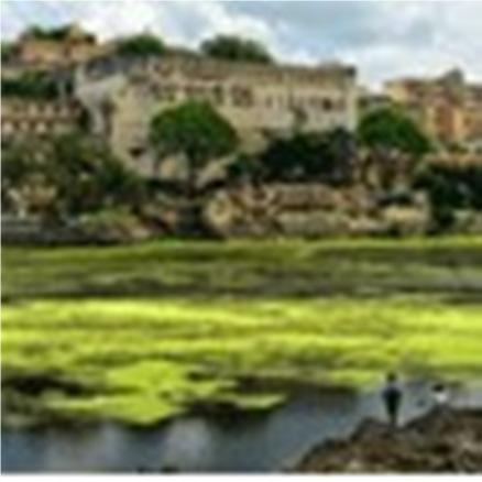 Visit the impressive Mehrangarh Fort set, regally set on a sandstone hill built by Rao Jodha in 1459.