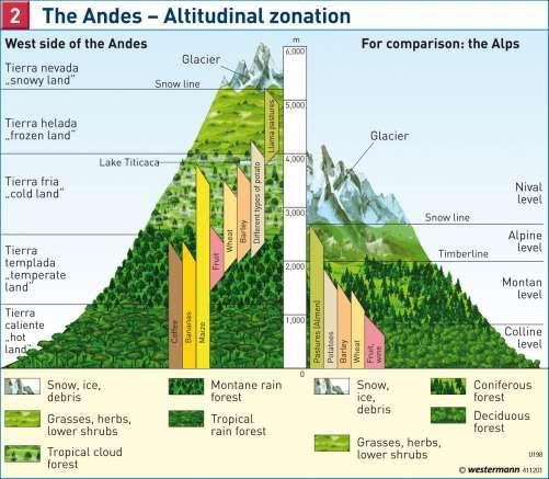 Vertical Climate Zones The diagram shows the main climate zones as