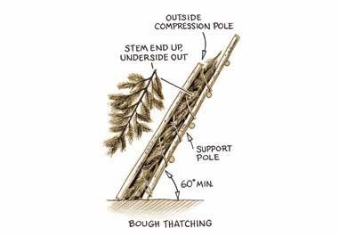 Thin willow wands, flexible capillary tree roots, rawhide cut from animal skins, and sinew strands that encase animal muscle make stronger cord, suitable for snare traps, bowstrings, and bindings.