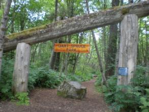 Easy Hikes Fisherman s Trail Turn right off of Haisla Boulevard at the Rod & Gun Club just before you come to the Haisla Bridge heading west.