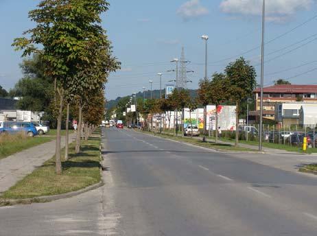 Černe T., 2009. Informacijski sistem za gospodarjenje z javnimi zelenimi površinami v urbanem okolju 32 2.1.