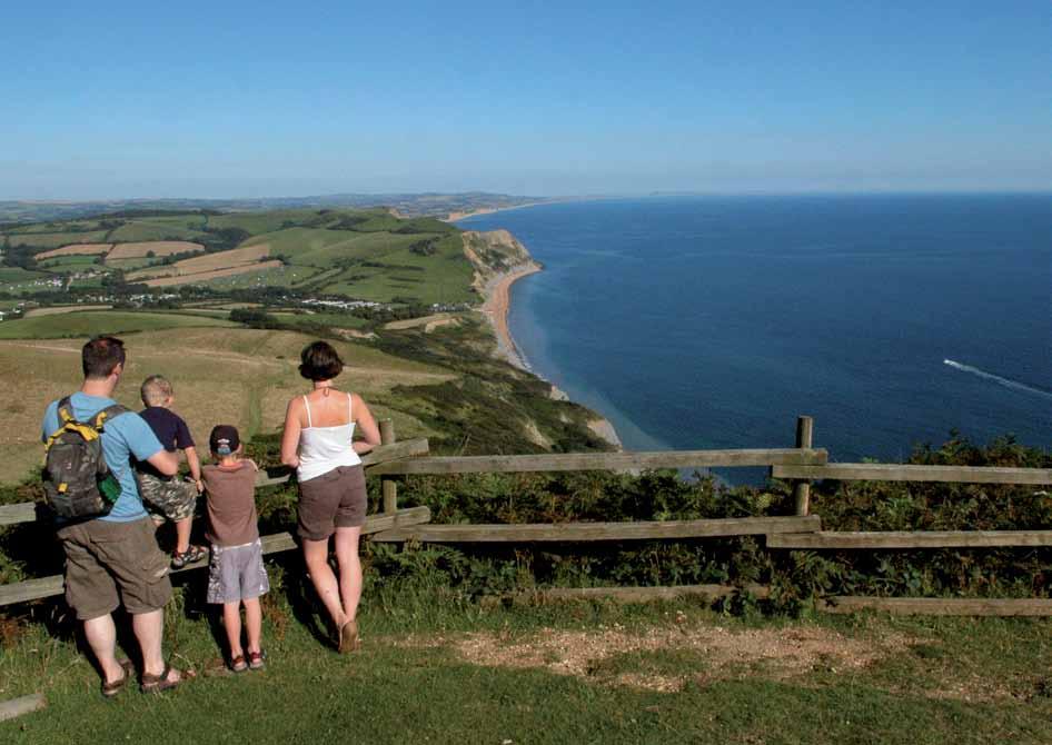 In summer months, pay a visit to the Swannery in the photogenic thatched village of Abbotsbury, looking out over Chesil Beach.