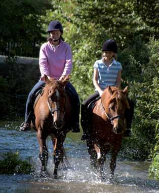 There are riding stables all over the county with horses and ponies for all levels of competence check details online.