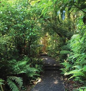8 9 Activities Explore the various tracks and from the Rakiura National Park Visitor beaches at your own leisure.
