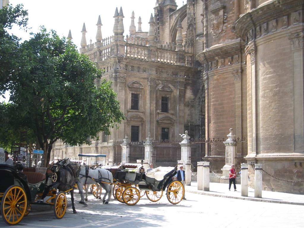 In this dossier you will find information about Sevilla, the Spanish school, and the programs,