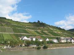 When the group is complete we drive directly to the Rhine for lunch in