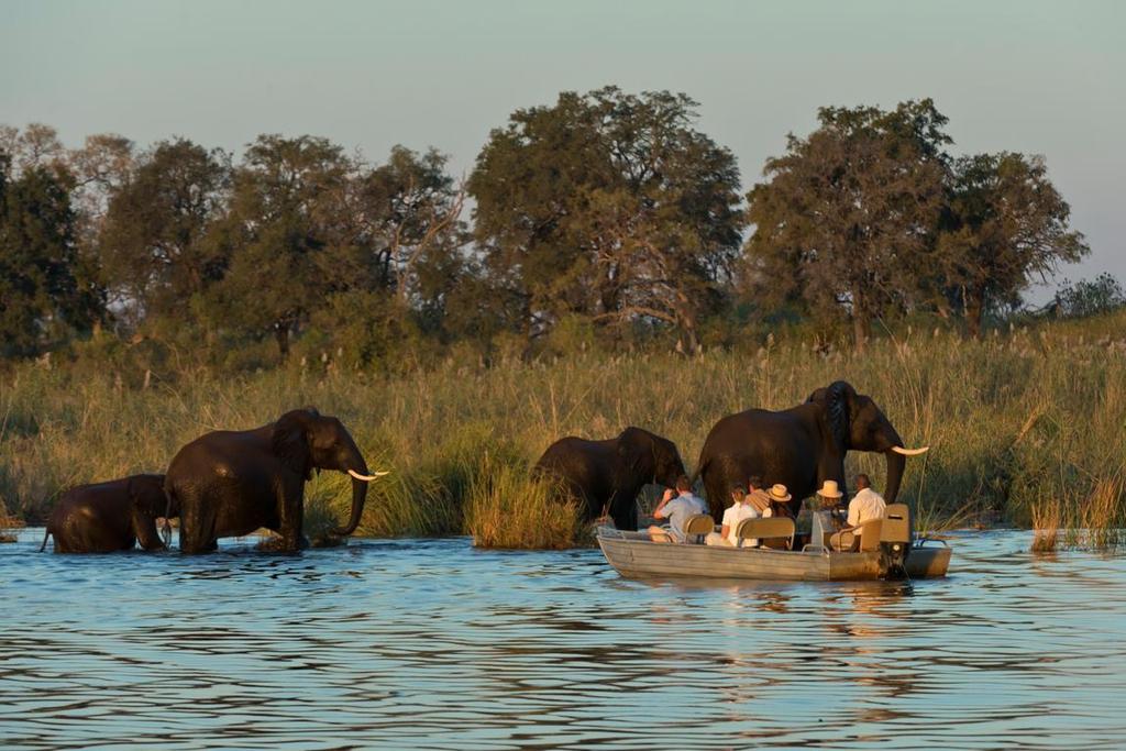 Zambia Zambia, with its endless source of adventure opportunities, is a carefully guarded secret by safari