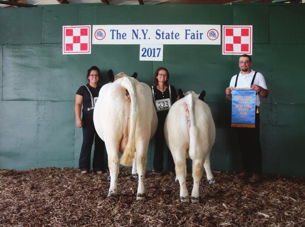 2017 NY State Fair Grand Champion