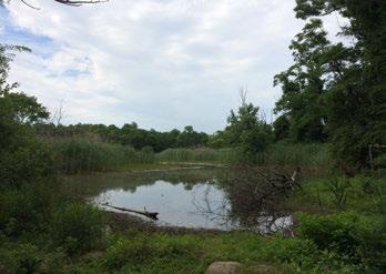 N LEGEND WETLAND NATURE AREA LAWN ATV vehicle use is damaging many fragile habitats and is not permitted.