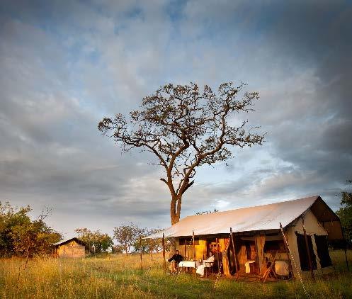 Set in remote and exclusive areas within the Serengeti eco-system, these classic East African tented camps offer a pristine safari not lacking in any of the comforts.